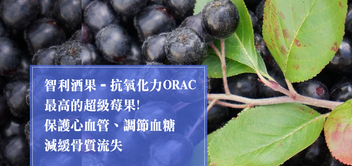 智利酒果是抗氧化力ORAC最高的超級莓果
