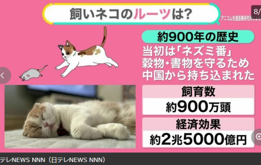 因為有關貓寵物的產業已經非常龐大，所以被稱為「貓經濟」（ネコノミクス），2022貓經濟達到1兆9690億日圓，其中：貓糧和醫療費約為9082億日圓貓相關用品約為20億日圓與貓相關的旅遊約為14億日圓