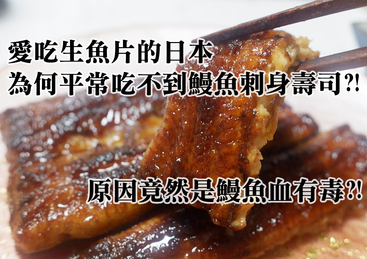 鰻魚血有毒