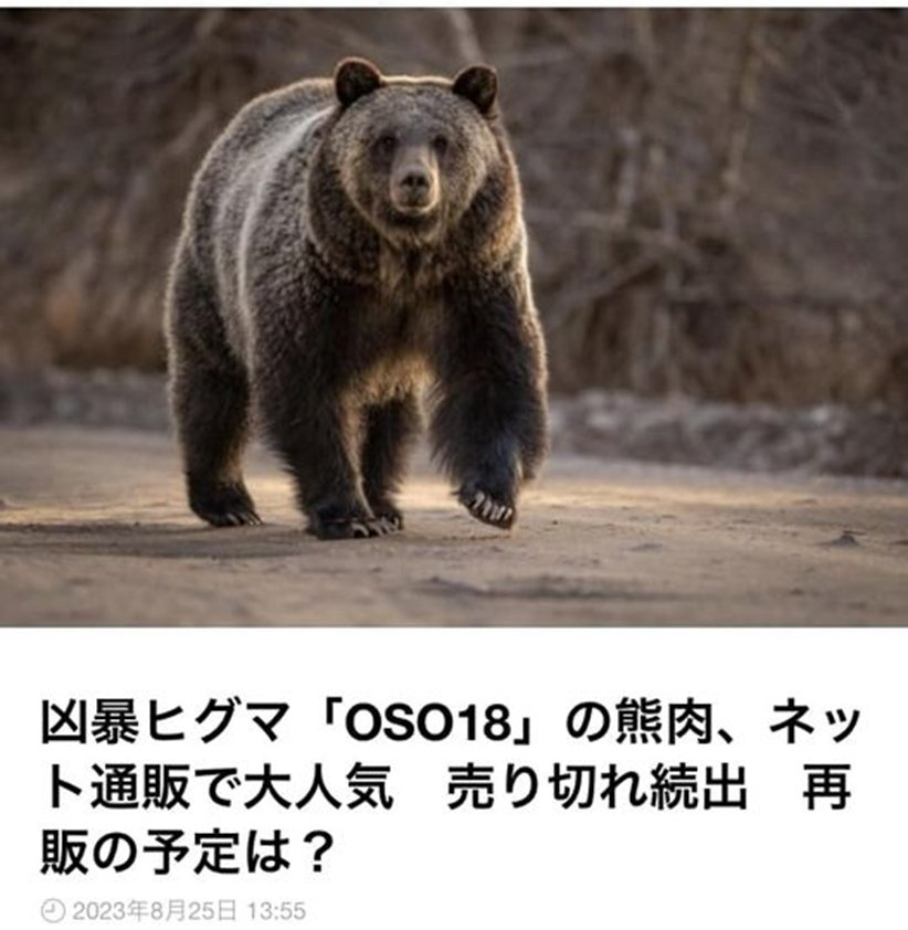 日本可以由執照獵人獵殺野味後合法販賣鹿、山豬、熊等被叫作ジビエ的獸肉，所以近年來為了控制這些害獸的數量，日本開放一定的數量讓合法的獵人取捕獵，事後作為野味販售，所以現在有許多女性也投入職業獵人的行列，而許多地方甚至還出現野味(山豬與鹿為主)的自動販賣機，甚至還有做成披薩、漢堡的。許多都市也有野味餐廳出現。
日本網友野食獵人茸本朗，他也是位漫畫家，平常就常在youtube上分享各種野味食物，這次特別分享了高級食材的熊掌！當然也是合法買來的。