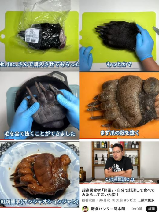 日本可以由執照獵人獵殺野味後合法販賣鹿、山豬、熊等被叫作ジビエ的獸肉，所以近年來為了控制這些害獸的數量，日本開放一定的數量讓合法的獵人取捕獵，事後作為野味販售，所以現在有許多女性也投入職業獵人的行列，而許多地方甚至還出現野味(山豬與鹿為主)的自動販賣機，甚至還有做成披薩、漢堡的。許多都市也有野味餐廳出現。
日本網友野食獵人茸本朗，他也是位漫畫家，平常就常在youtube上分享各種野味食物，這次特別分享了高級食材的熊掌！當然也是合法買來的。