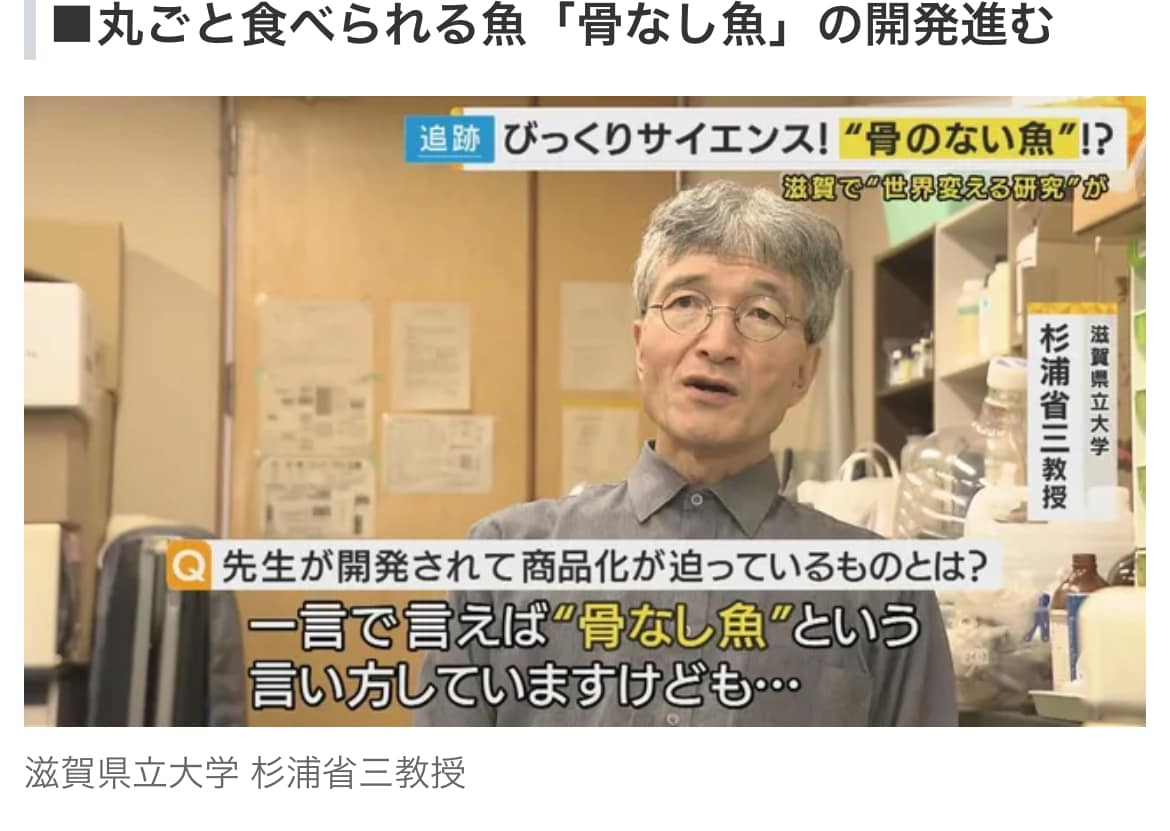 日本滋賀県立大学 杉浦省三教授研究開發出可以連骨頭都吃下去的魚，預計明年就可以商品化，希望可以解決現代人不愛吃魚的問題。