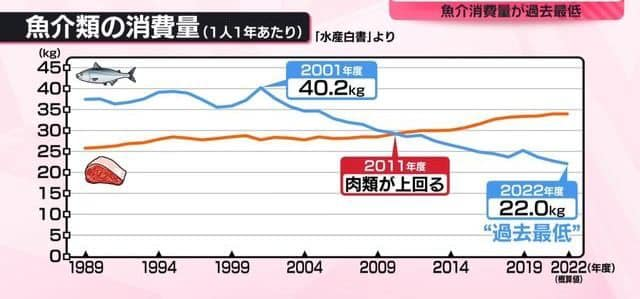 日本滋賀県立大学 杉浦省三教授研究開發出可以連骨頭都吃下去的魚，預計明年就可以商品化，希望可以解決現代人不愛吃魚的問題。